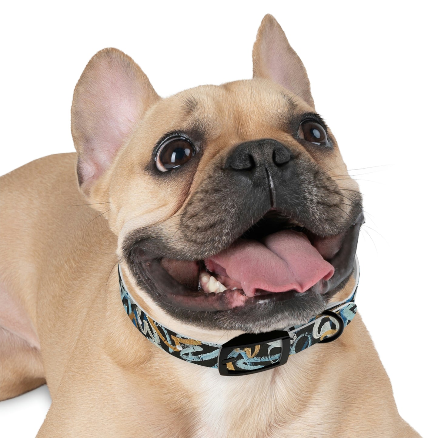 "LOVEHAPPY"  Dog Collar